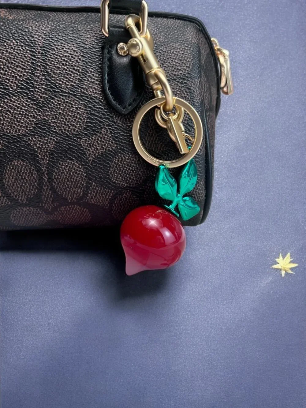 🌸Coach Red and Green Keychain